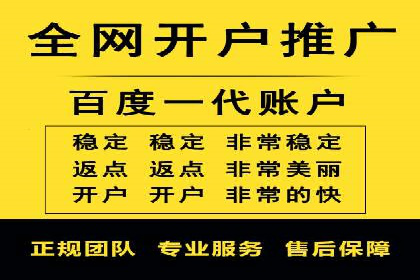 SEM代运营机构成功案例：优化策略与效果分析